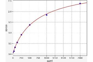 beta-MSH ELISA Kit
