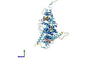 Protein Structure (PS) image for Pescadillo Ribosomal Biogenesis Factor 1 (PES1) (AA 1-584) protein (His tag) (ABIN7561392)