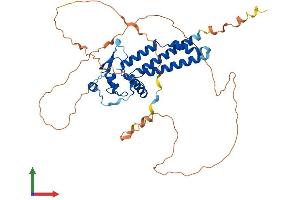AlphaFold protein structure predicition of Mouse Recombinant Tfap2c Protein, UniprotID Q61312