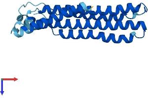 AlphaFold protein structure predicition of Human Recombinant ATP6V0B Protein, UniprotID Q99437 (ATP6V0B Protein (AA 1-205) (His tag))