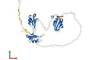 Protein Structure (PS) image for TIA1 Cytotoxic Granule-Associated RNA Binding Protein-Like 1 (TIAL1) (AA 1-375) protein (His tag) (ABIN7544377)