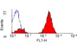 ABIN118478 staining of human peripheral blood lymphocytes. (CD3 antibody  (FITC))