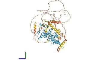 AlphaFold protein structure predicition of Human Recombinant ZNF215 Protein, UniprotID Q9UL58