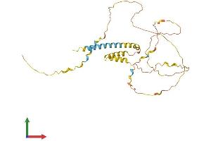 AlphaFold protein structure predicition of Human Recombinant PRRT1 Protein, UniprotID Q99946 (PRRT1 Protein (AA 1-306) (His tag))