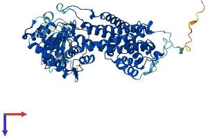HAL Protein (AA 1-657) (His tag)