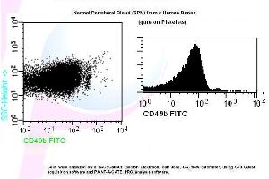 Image no. 1 for anti-Integrin alpha 2 (ITGA2) antibody (FITC) (ABIN1112170) (ITGA2 antibody  (FITC))