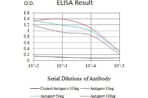 Black line: Control Antigen (100 ng),Purple line: Antigen (10 ng), Blue line: Antigen (50 ng), Red line:Antigen (100 ng) (PRNP antibody  (AA 23-230))