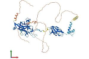 Protein Structure (PS) image for Early B-Cell Factor 2 (EBF2) (AA 1-575) protein (His tag) (ABIN7546705)