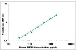 Representative Standard Curve (FURIN ELISA Kit)