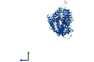AlphaFold protein structure predicition of Human Recombinant KEL Protein, UniprotID P23276 (KEL Protein (AA 1-732) (His tag))