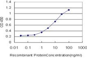 Detection limit for recombinant GST tagged FOXO3A is approximately 0. (FOXO3 antibody  (AA 361-460))