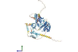 AlphaFold protein structure predicition of Mouse Recombinant Eps8l2 Protein, UniprotID Q99K30