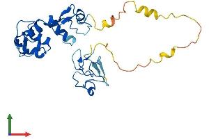 AlphaFold protein structure predicition of Human Recombinant ARL14EP Protein, UniprotID Q8N8R7 (C11orf46 Protein (AA 1-260) (His tag))