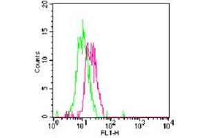 Image no. 2 for anti-Toll-Like Receptor 7 (TLR7) (AA 706-728) antibody (FITC) (ABIN956807) (TLR7 antibody  (AA 706-728) (FITC))