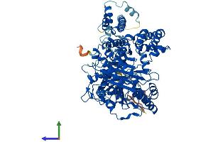 Protein Structure (PS) image for Carnitine Palmitoyltransferase 1B (Muscle) (CPT1B) (AA 1-772) protein (His tag) (ABIN7560262)