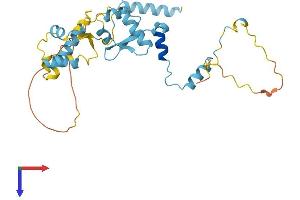 AlphaFold protein structure predicition of Human Recombinant GTF2E2 Protein, UniprotID P29084 (GTF2E2 Protein (AA 1-291) (His tag))