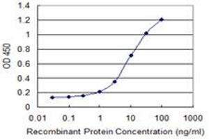 Detection limit for recombinant GST tagged SLC20A2 is 0. (SLC20A2 antibody  (AA 243-342))