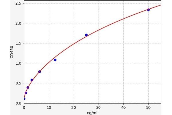 FZD3 ELISA Kit