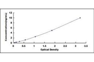 Typical standard curve (NTSR1 ELISA Kit)