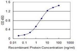 Detection limit for recombinant GST tagged ILKAP is 0. (ILKAP antibody  (AA 293-392))