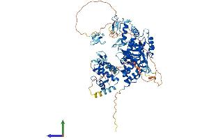 AlphaFold protein structure predicition of Human Recombinant ZRANB1 Protein, UniprotID Q9UGI0 (ZRANB1 Protein (AA 1-708) (His tag))