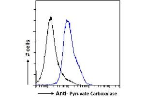 ABIN238663 Flow cytometric analysis of paraformaldehyde fixed HeLa cells (blue line), permeabilized with 0. (PC antibody  (Internal Region))