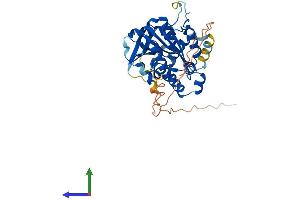 Protein Structure (PS) image for NDRG Family Member 3 (NDRG3) (AA 1-375) protein (His tag) (ABIN7549692)