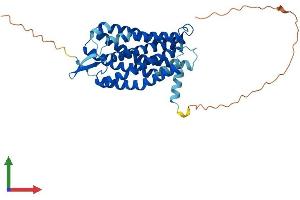 AlphaFold protein structure predicition of Mouse Recombinant Lpar5 Protein, UniprotID Q149R9