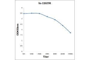 Antigen: 0. (Midline 2 antibody  (AA 251-350))