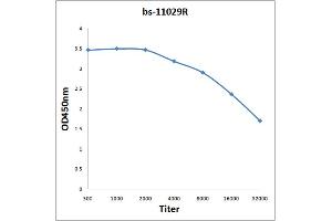 Midline 2 antibody  (AA 251-350)