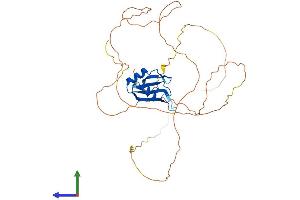 AlphaFold protein structure predicition of Mouse Recombinant Rbmy1a1 Protein, UniprotID O35698 (RBMY1A1 Protein (AA 1-380) (His tag))