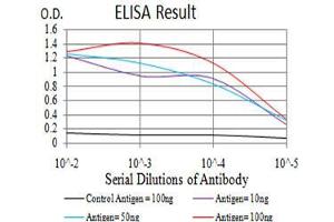 Black line: Control Antigen (100 ng),Purple line: Antigen (10 ng), Blue line: Antigen (50 ng), Red line:Antigen (100 ng) (CGB antibody  (AA 21-165))
