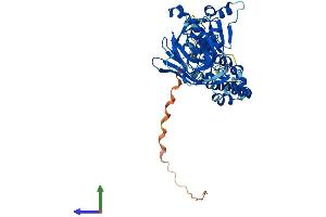 AlphaFold protein structure predicition of Mouse Recombinant Btbd1 Protein, UniprotID P58544 (BTBD1 Protein (AA 1-488) (His tag))