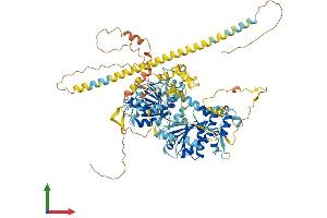 AlphaFold protein structure predicition of Human Recombinant HELLS Protein, UniprotID Q9NRZ9