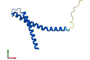 Protein Structure (PS) image for Fracture Callus 1 Homolog (FXC1) (AA 1-103) protein (His tag) (ABIN7544075)