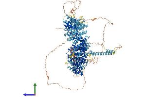 AlphaFold protein structure predicition of Human Recombinant MYBBP1A Protein, UniprotID Q9BQG0