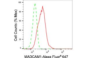 anti-Mucosal Vascular Addressin Cell Adhesion Molecule 1 (MADCAM1) antibody