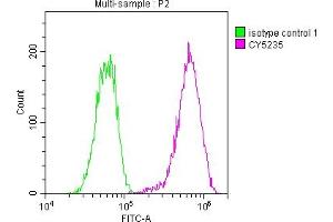 Flow Cytometry (FACS) image for anti-Low Density Lipoprotein Receptor (LDLR) antibody (ABIN7127599)