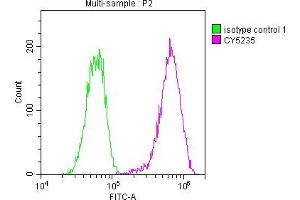 Overlay histogram showing Hela cells stained with ABIN7127599 (red line) at 1:50. (Recombinant LDLR antibody)