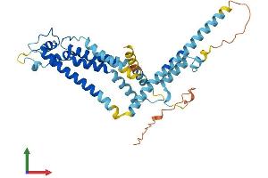 AlphaFold protein structure predicition of Human Recombinant CALHM1 Protein, UniprotID Q8IU99