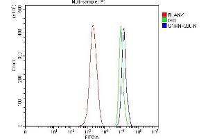 Flow Cytometry analysis of ANA-1 cells using anti-SNRNP200 antibody (ABIN7602032). (SNRNP200 antibody  (AA 557-2129))