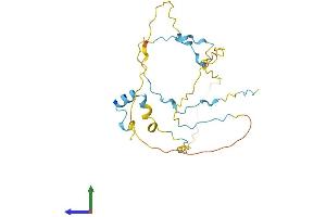 AlphaFold protein structure predicition of Mouse Recombinant Rhno1 Protein, UniprotID Q8K3A4