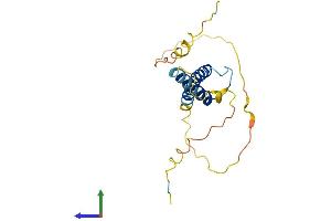 AlphaFold protein structure predicition of Mouse Recombinant Tcf21 Protein, UniprotID O35437 (TCF21 Protein (AA 1-179) (His tag))