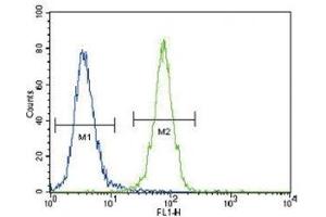 Flow Cytometry (FACS) image for anti-Discoidin Domain Receptor tyrosine Kinase 1 (DDR1) (AA 17-47) antibody (ABIN3030735)