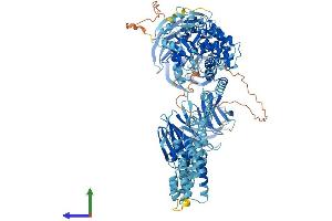 Protein Structure (PS) image for Intraflagellar Transport 122 (IFT122) (AA 1-1241) protein (His tag) (ABIN7554180)