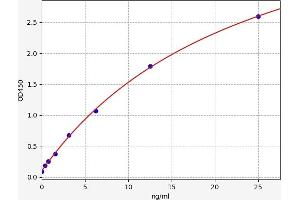 Typical standard curve (Surfactant Protein C ELISA Kit)