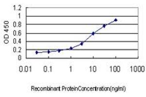 Detection limit for recombinant GST tagged BIRC4 is approximately 0. (XIAP antibody  (AA 51-150))
