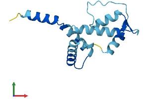 AlphaFold protein structure predicition of Mouse Recombinant Efcab10 Protein, UniprotID Q9D581 (EFCAB10 Protein (AA 1-132) (His tag))