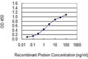 Detection limit for recombinant GST tagged BOLA3 is 0. (BOLA3 antibody  (AA 1-68))