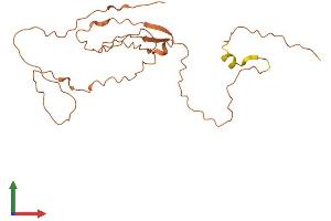AlphaFold protein structure predicition of Human Recombinant ZNF252P-AS1 Protein, UniprotID Q0IIN9 (C8orf77 Protein (AA 1-211) (His tag))